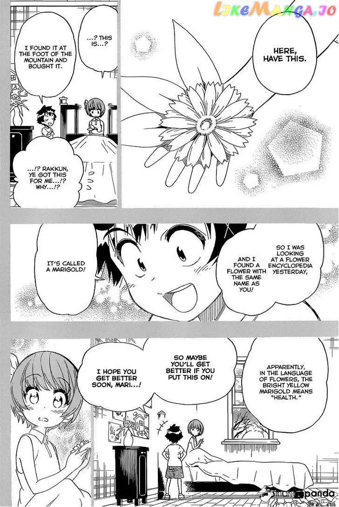 Nisekoi Chapter 188 image 19_optimized